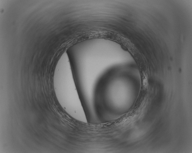 X0000062910819200601181217