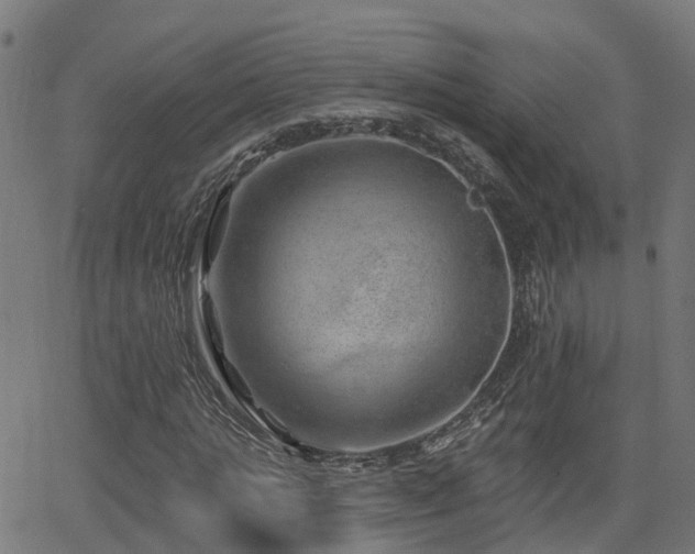 X0000062910821200601181217