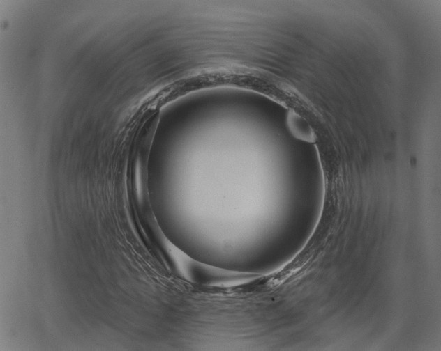 X0000062910822200601181217