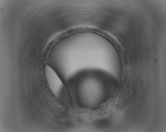 X0000062910823200601181217