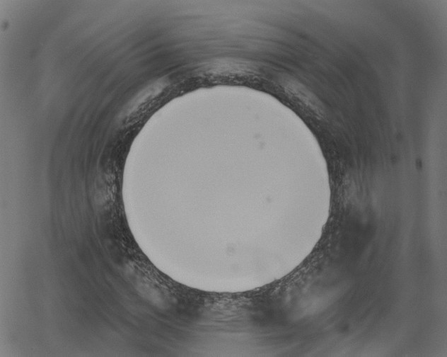 X0000062910824200601181217