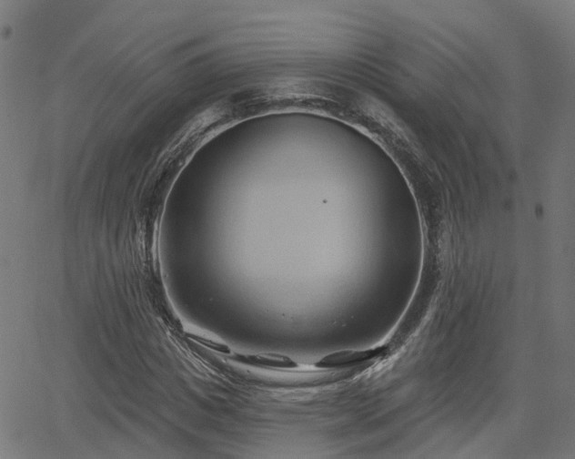 X0000062910825200601181217