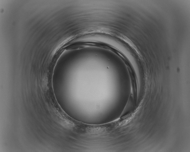 X0000062910826200601181217