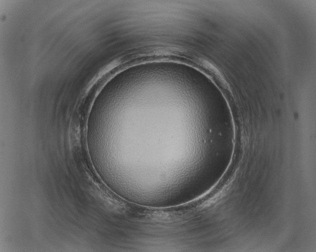 X0000062910827200601181217