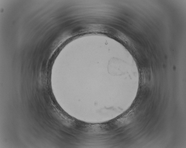 X0000062910828200601181217