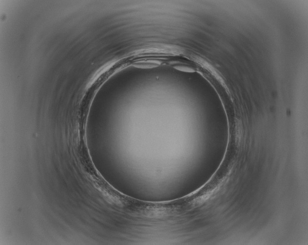 X0000062910829200601181217