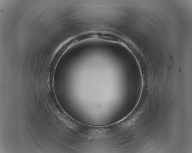 X0000062910830200601181217