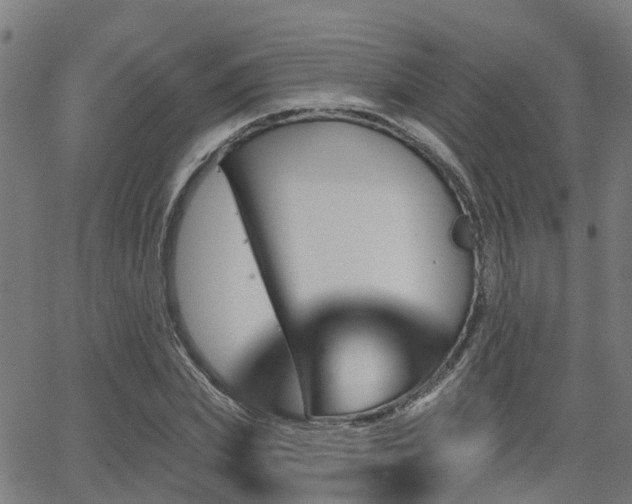 X0000062910831200601181217