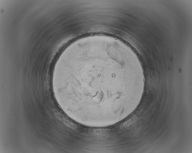 X0000062910832200601181217