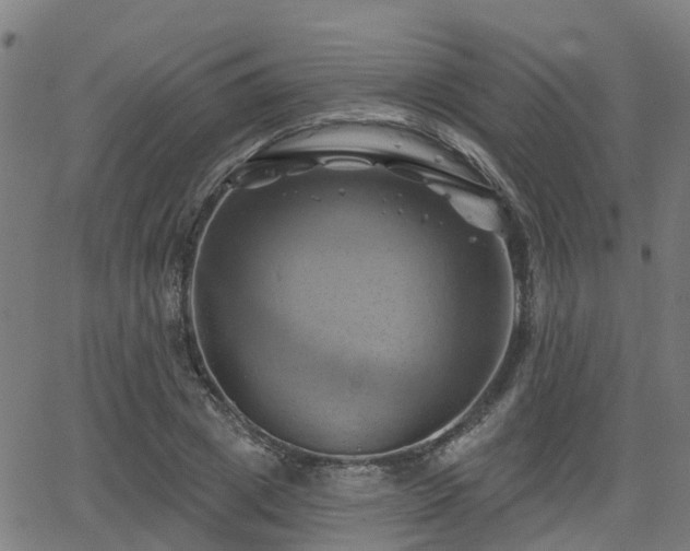 X0000062910833200601181217