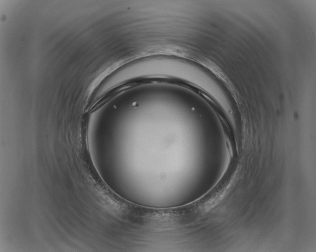 X0000062910834200601181217