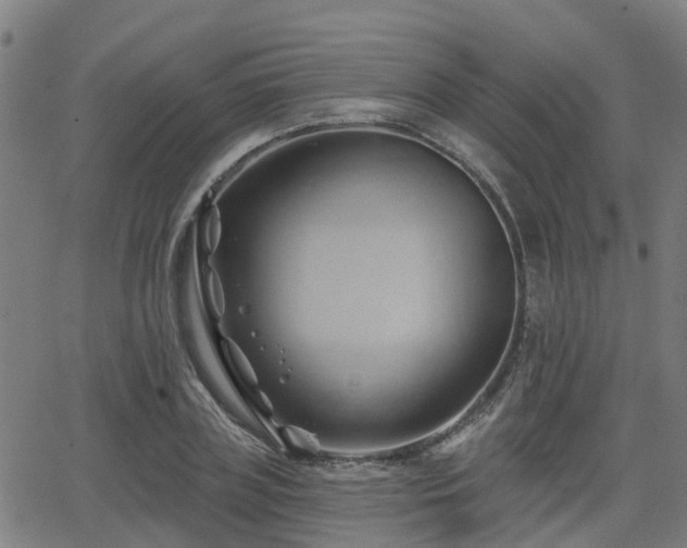 X0000062910835200601181217