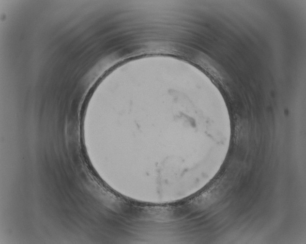 X0000062910836200601181217