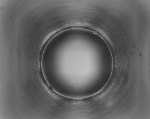 X0000062910837200601181217