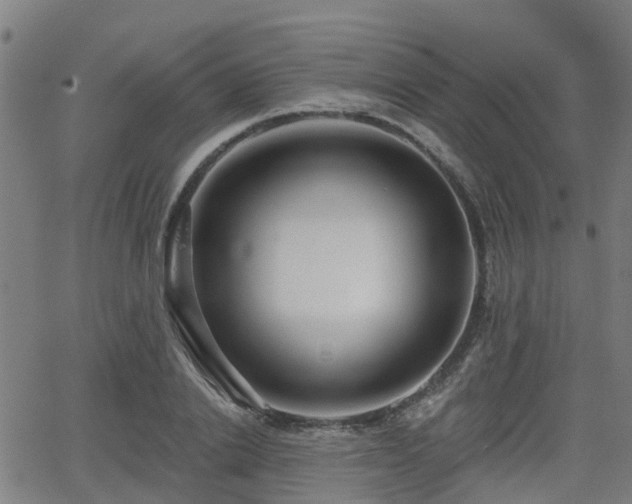 X0000062910838200601181217