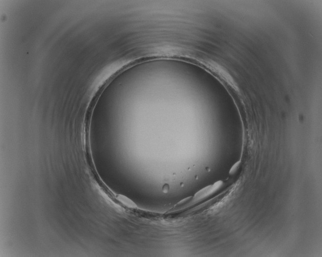 X0000062910839200601181217