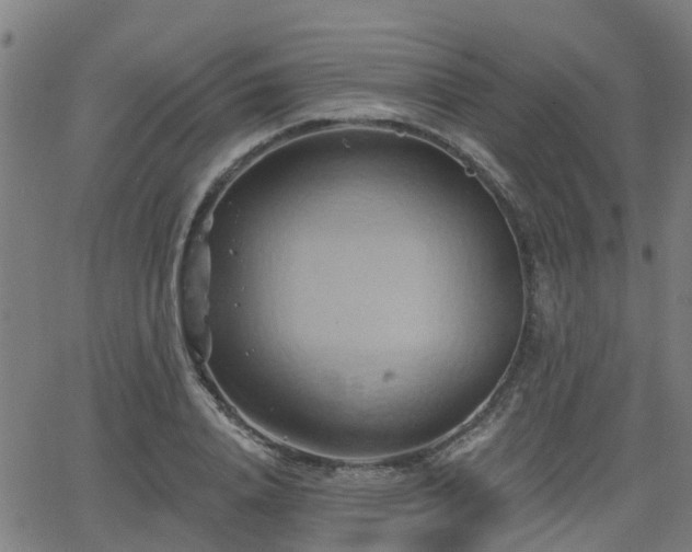 X0000062910840200601181217