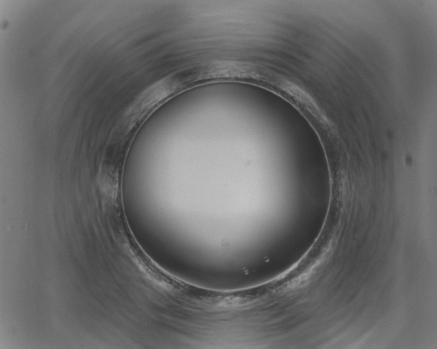 X0000062910841200601181217