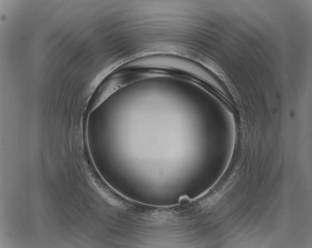 X0000062910842200601181217