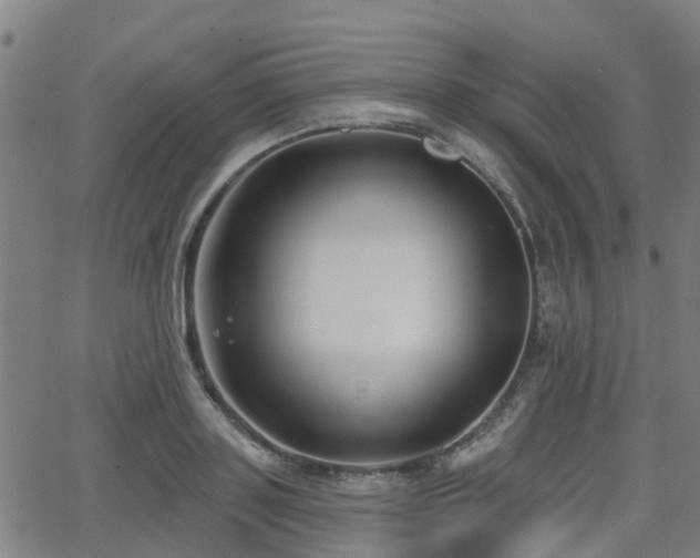 X0000062910843200601181217