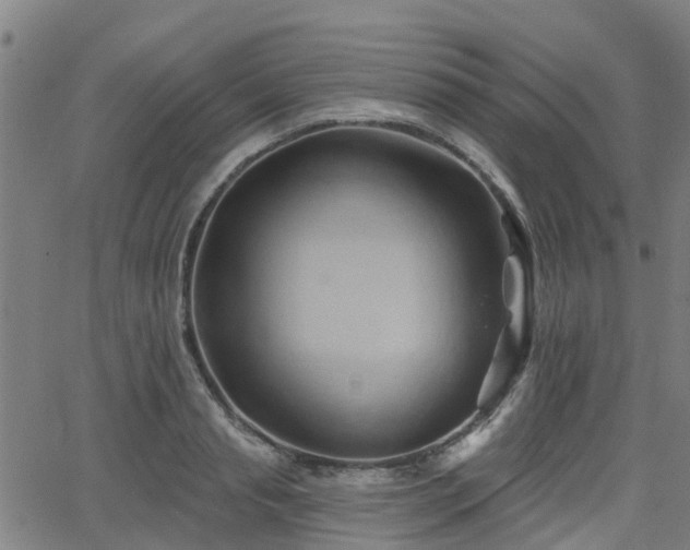 X0000062910845200601181217