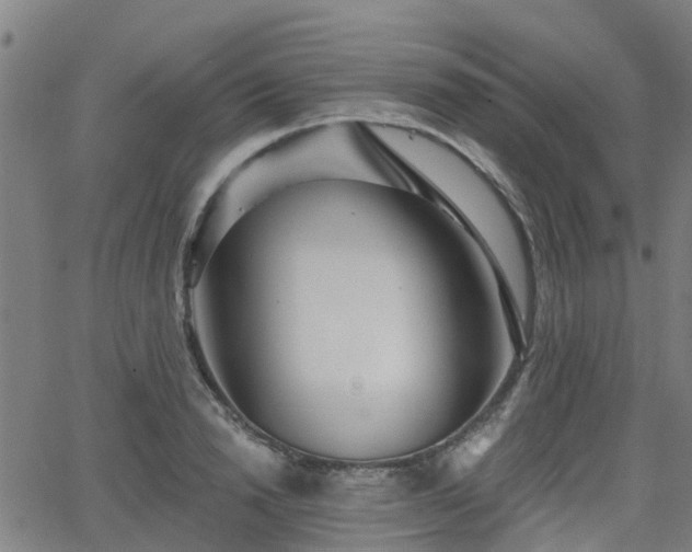 X0000062910846200601181217