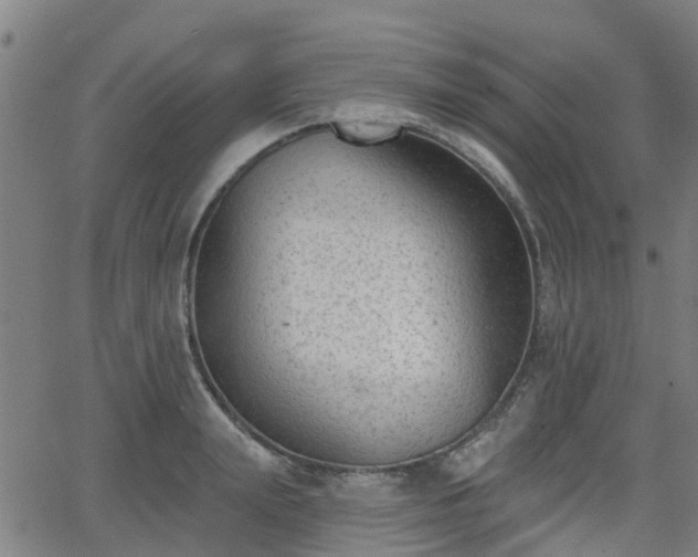 X0000062910847200601181217