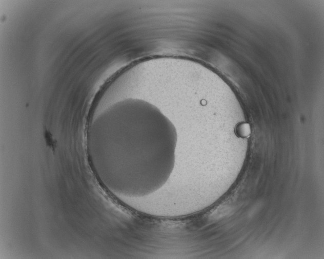 X0000062910848200601181217