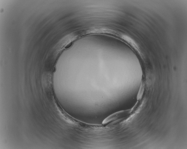 X0000062910849200601181217