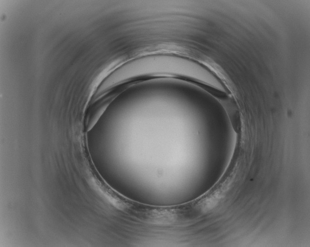 X0000062910850200601181217