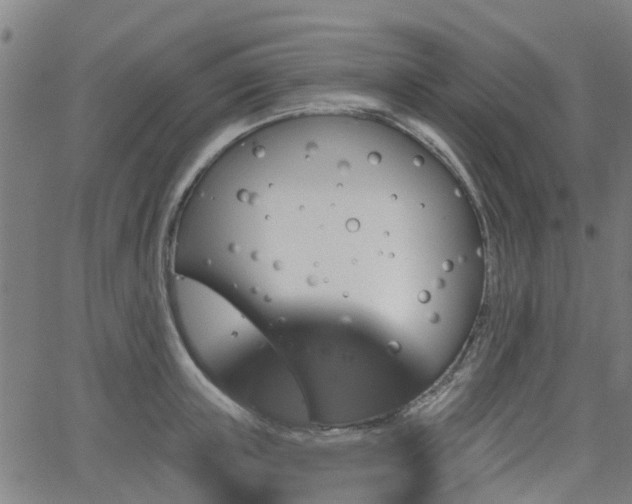 X0000062910851200601181217