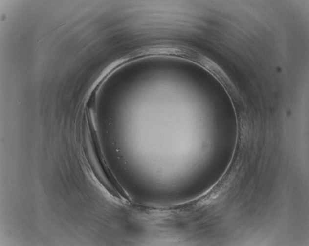 X0000062910852200601181217