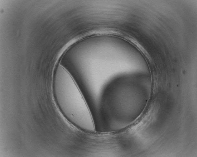 X0000062910853200601181217