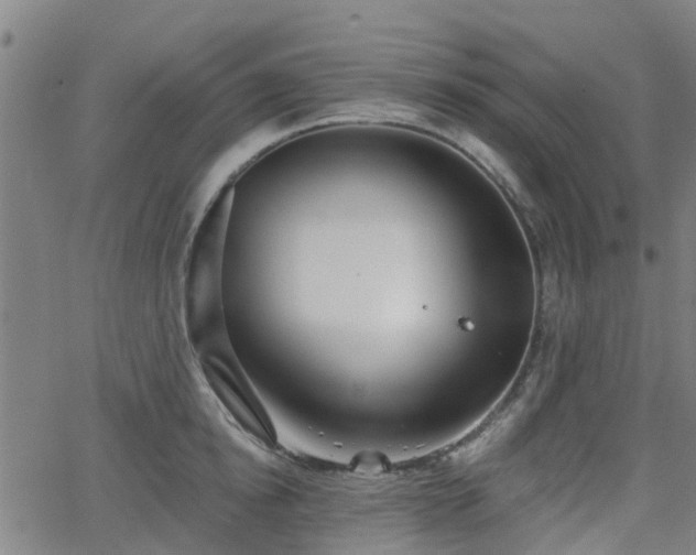 X0000062910854200601181217