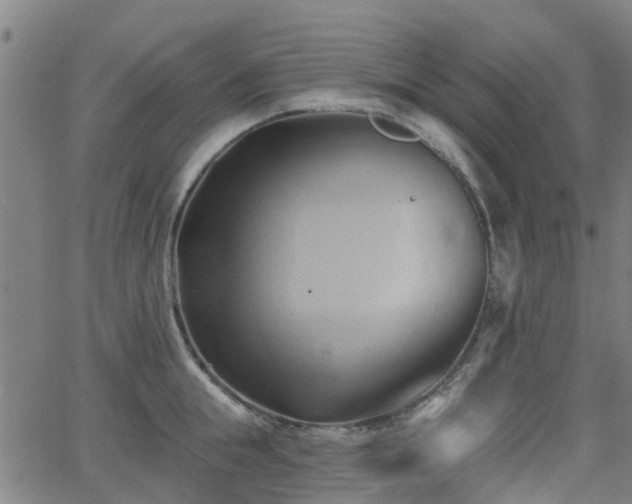 X0000062910855200601181217