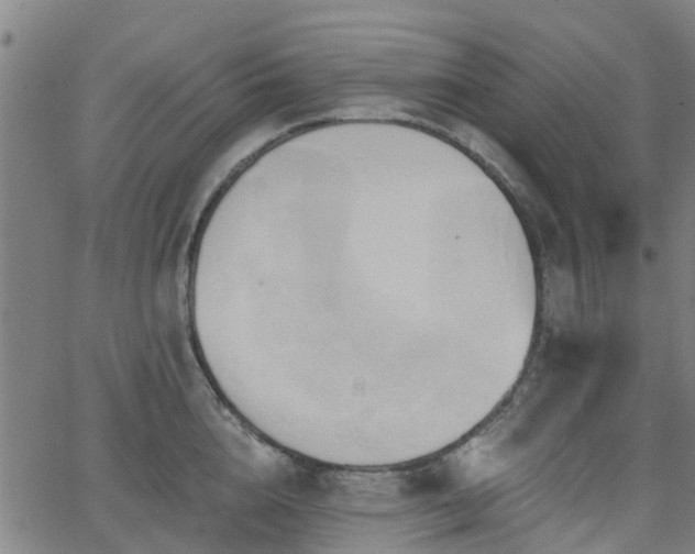 X0000062910856200601181217