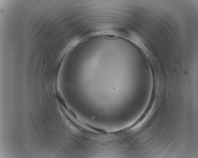 X0000062910857200601181217