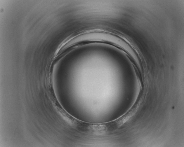 X0000062910858200601181217