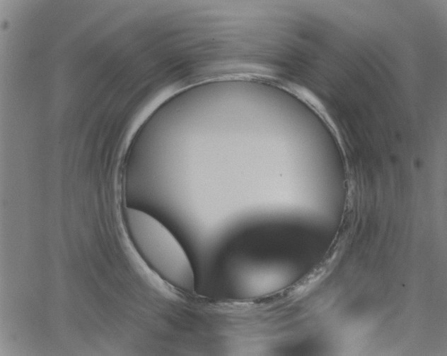 X0000062910859200601181217