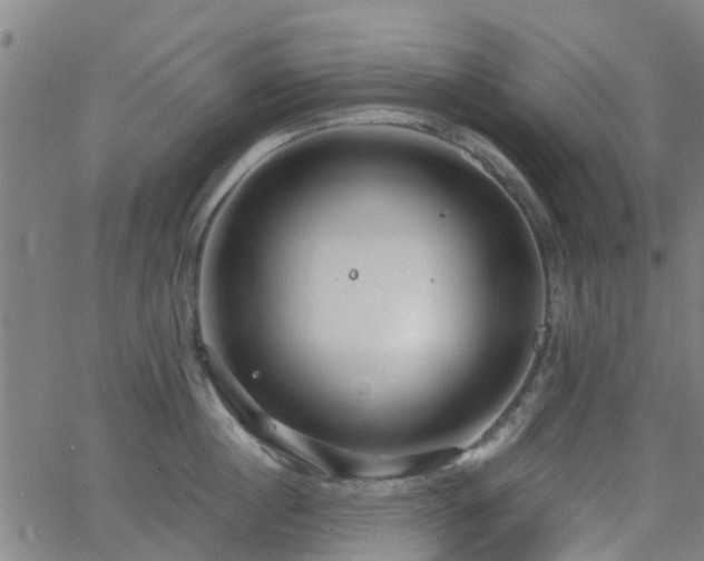 X0000062910860200601181217