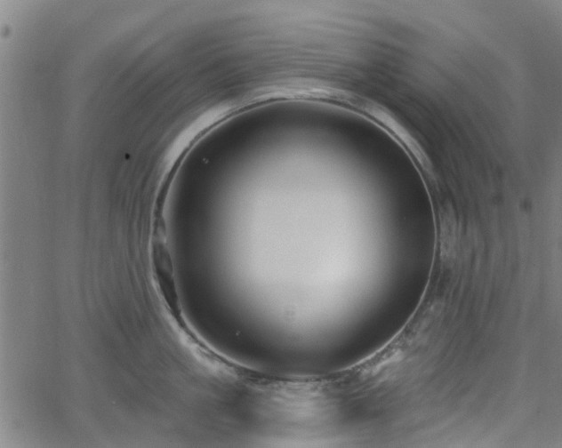 X0000062910861200601181217