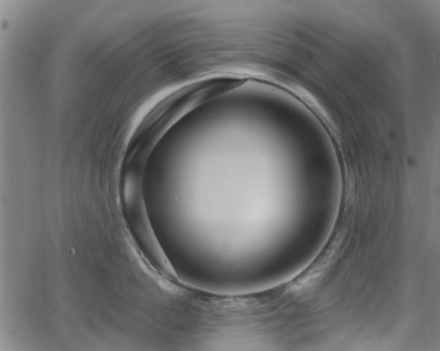 X0000062910862200601181217