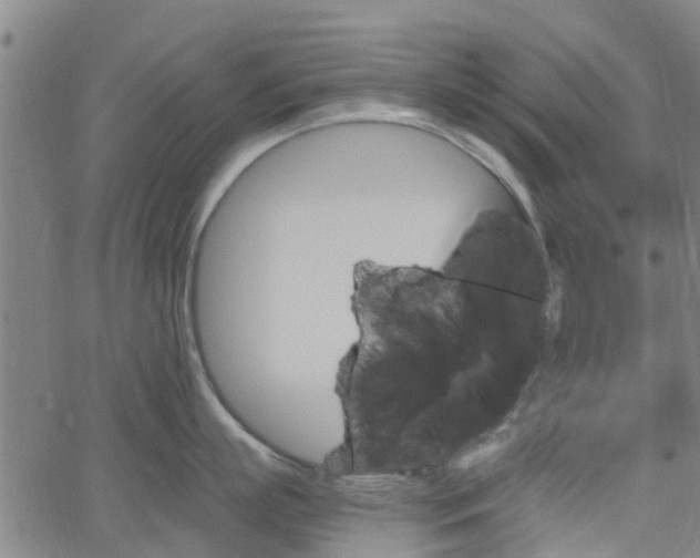 X0000062910863200601181218