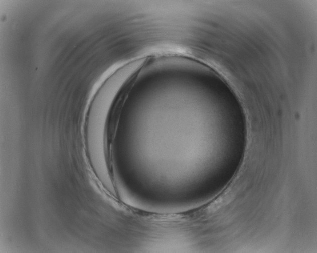 X0000062910864200601181218