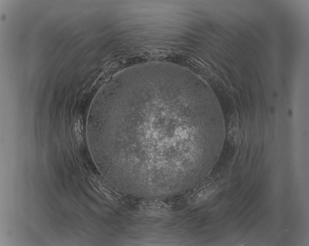 X0000062910866200601181217