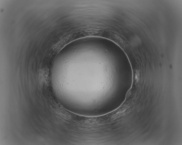 X0000062910867200601181217