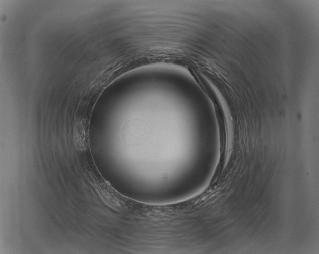 X0000062910868200601181217