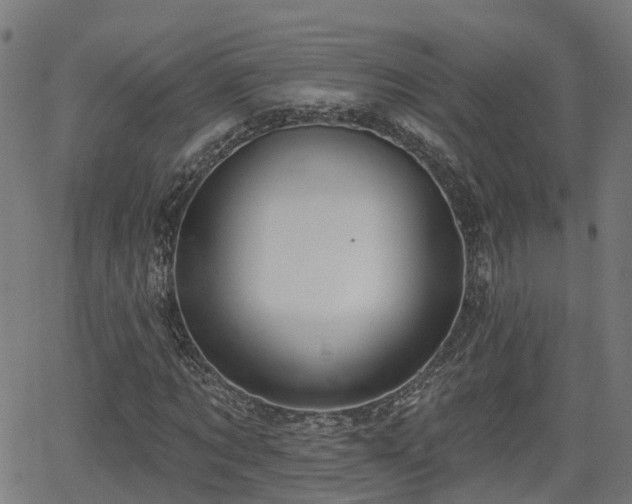 X0000062910869200601181217