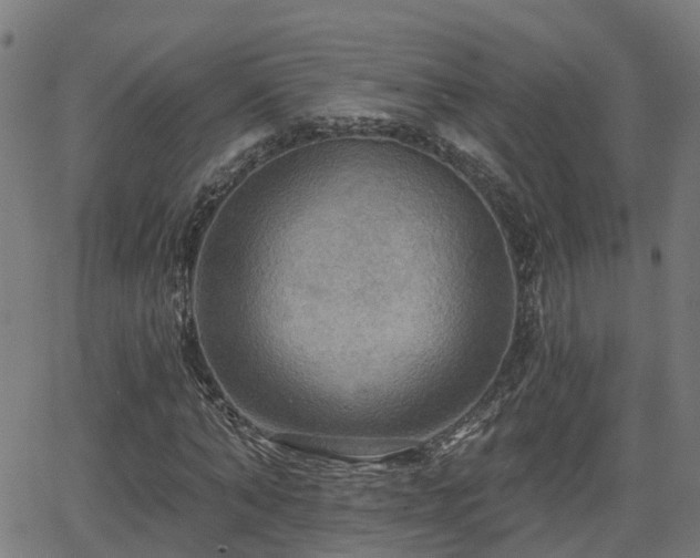 X0000062910870200601181217