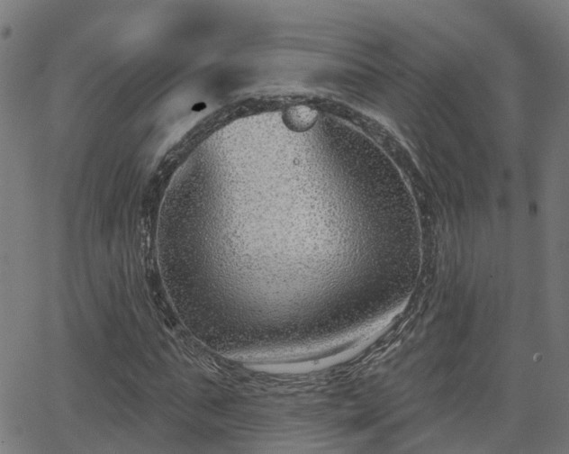 X0000062910871200601181217